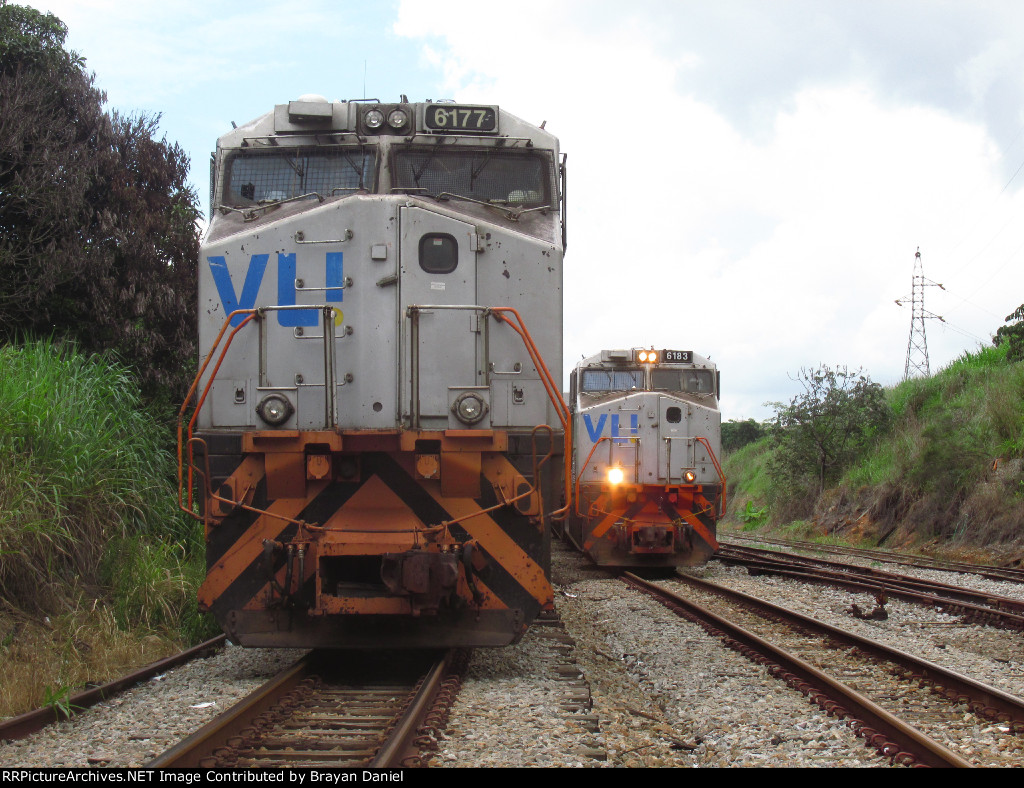 VLI 6177